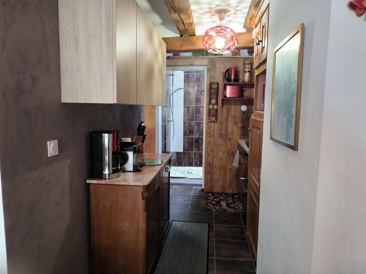 Appartements - 1 Mn Du Centre Ribeauvillé Εξωτερικό φωτογραφία